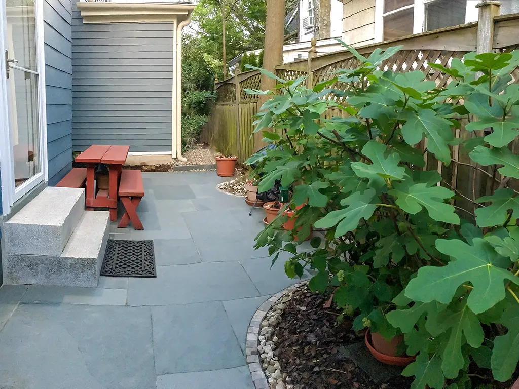 private backyard; bbq &amp;amp; picnic table