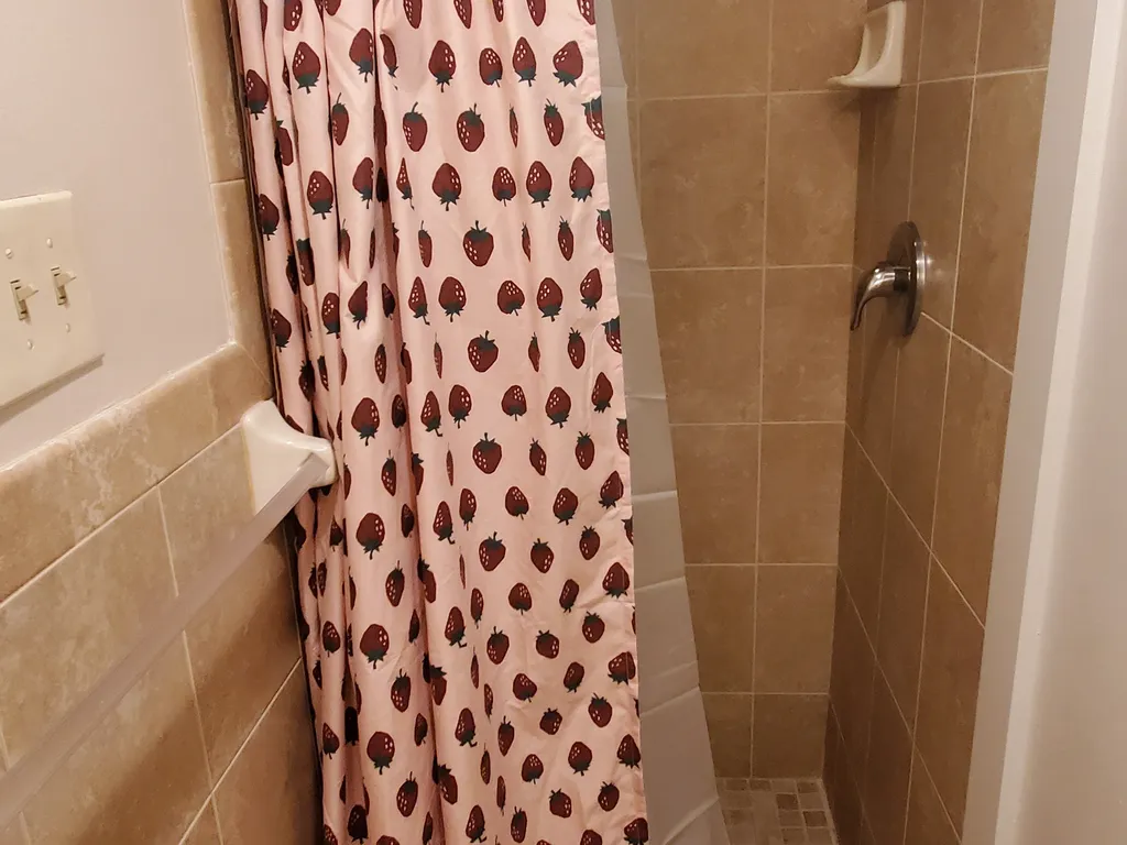 Rear Bathroom