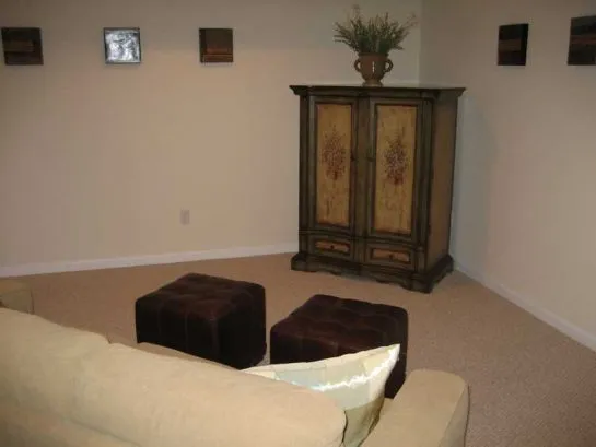 Downstairs Living Area