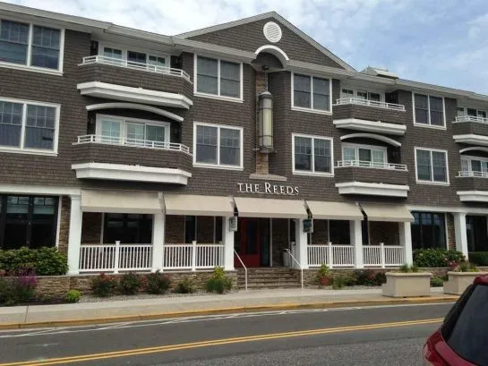 Reeds in Downtown Stone Harbor