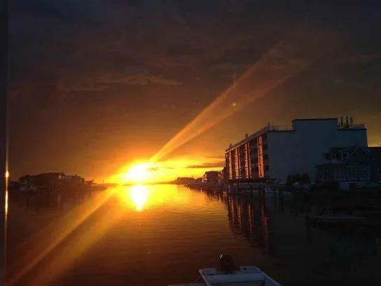 Reeds Sunset