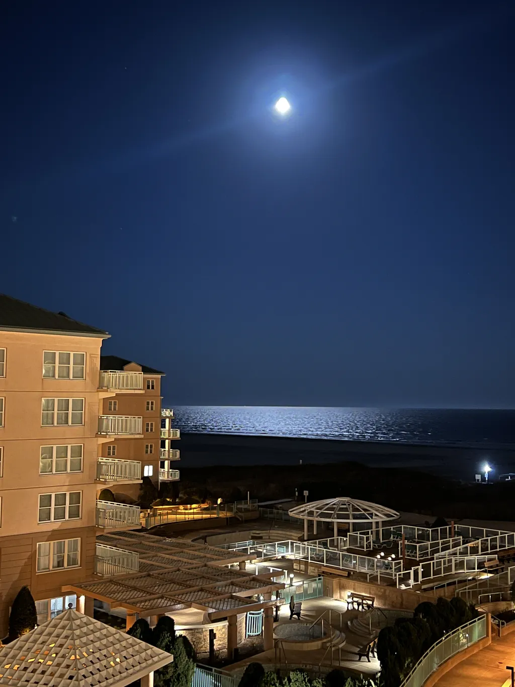 Moonlight 