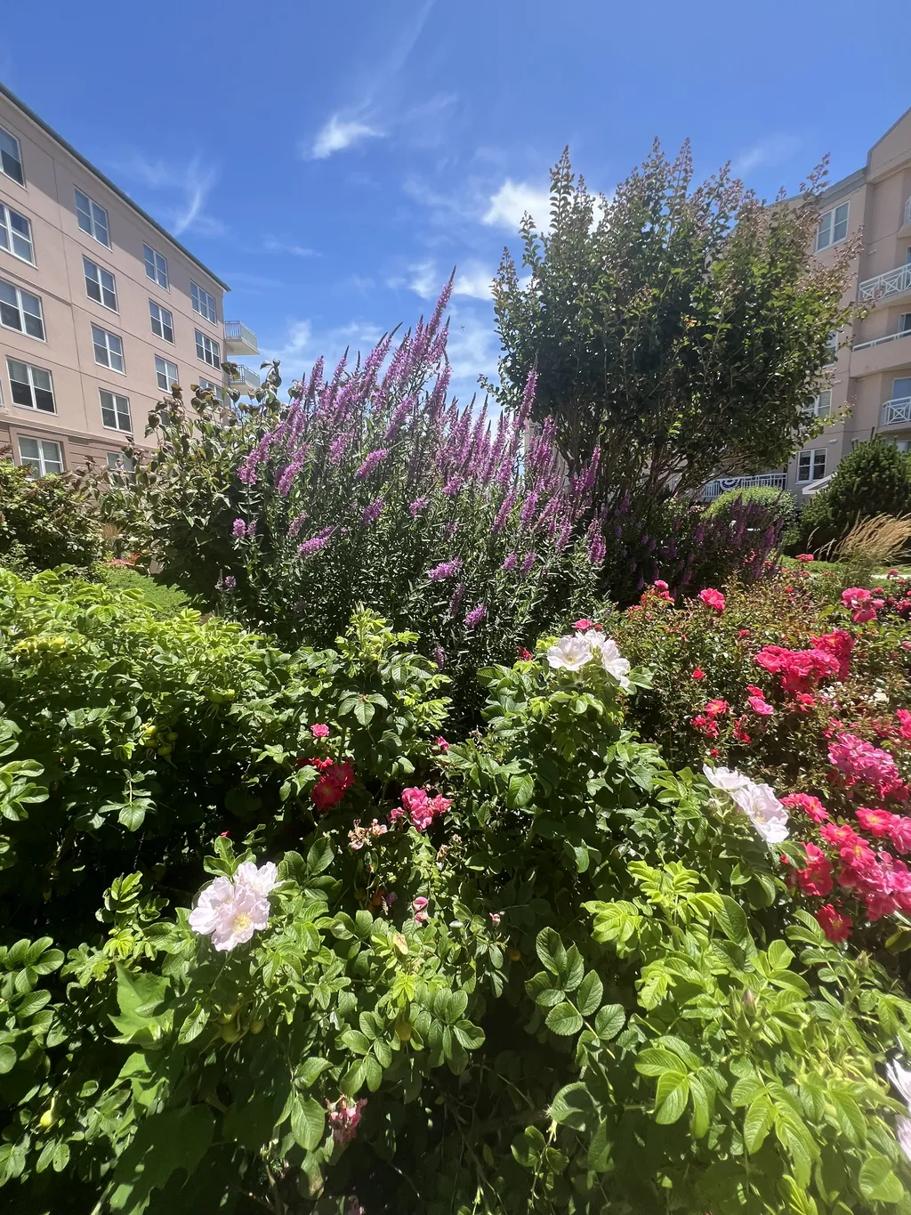Beautiful Landscaping 