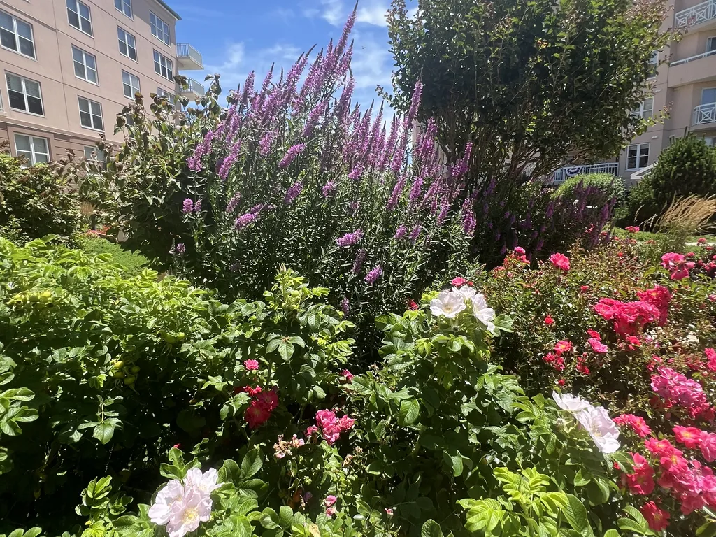 Beautiful Landscaping 