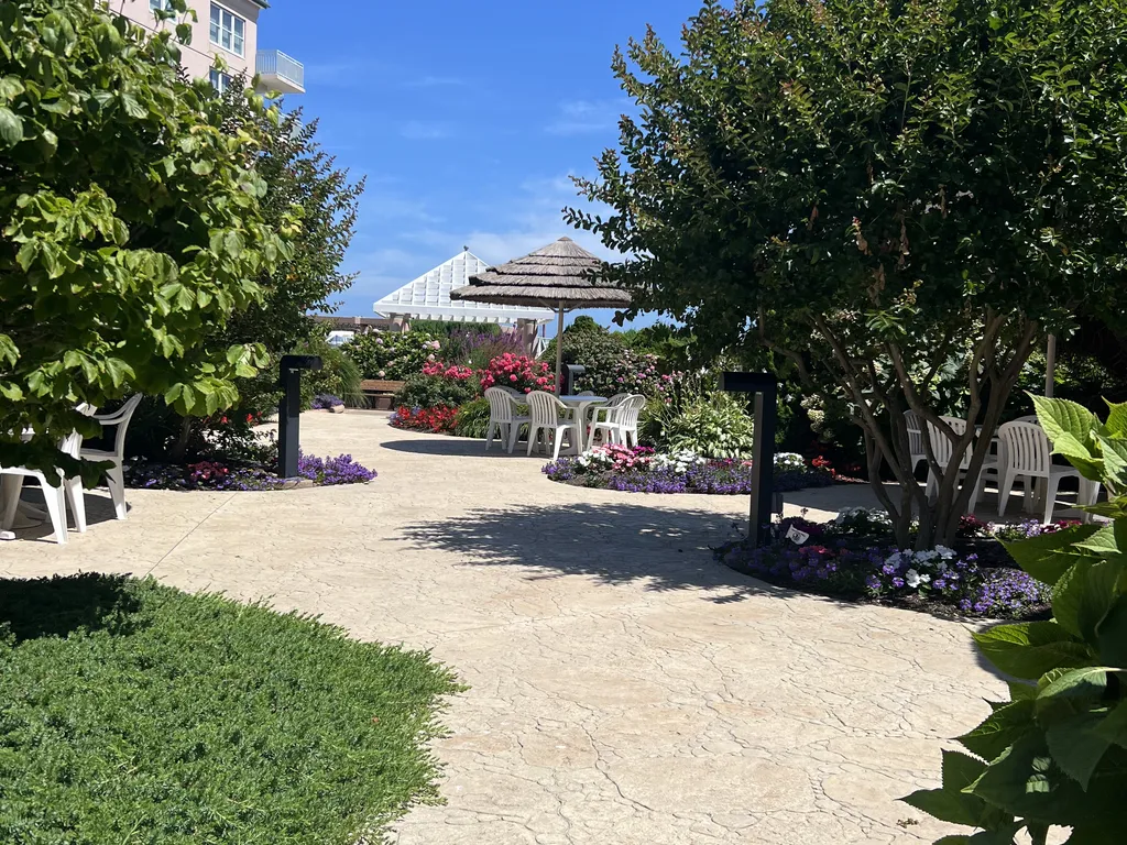 Outdoor Seating Area