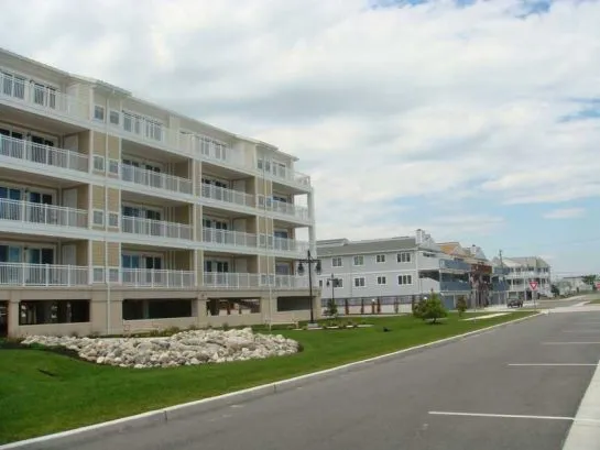 Rear of the Building 