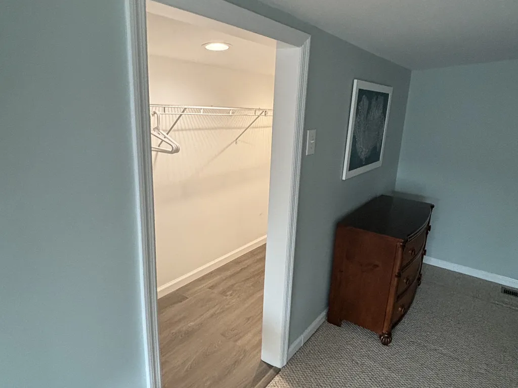 Loft Walk-in Closet Entry