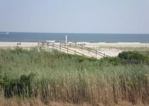 Free beach steps away....