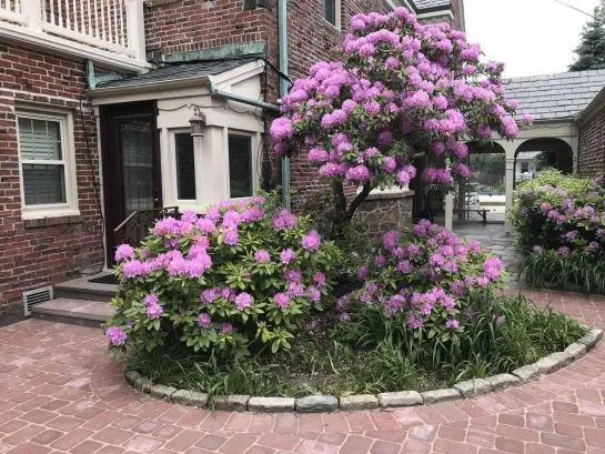 driveway to back door