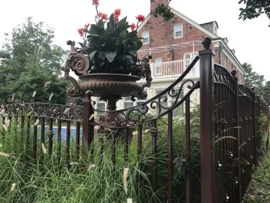 landscaping at pool