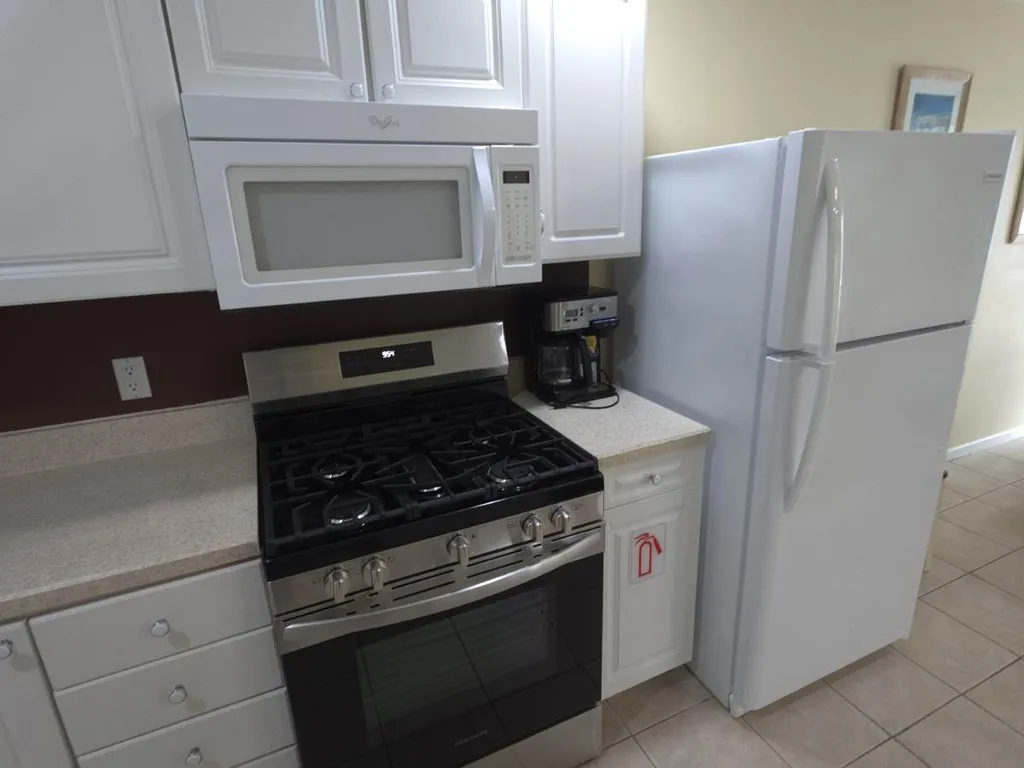 Convection Gas Oven