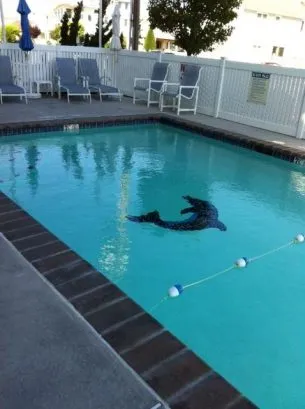 heated pool