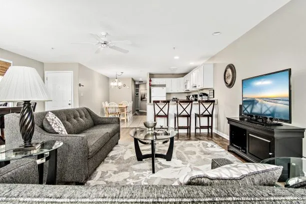 Living Room - Kitchen
