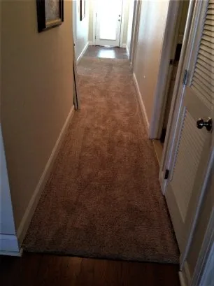 New Carpet in hallway and all bedrooms