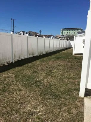 Fenced in Yard