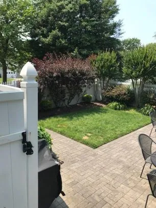 yard and outdoor shower