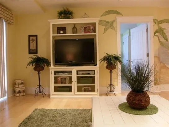 Professionally Decorated Living Area