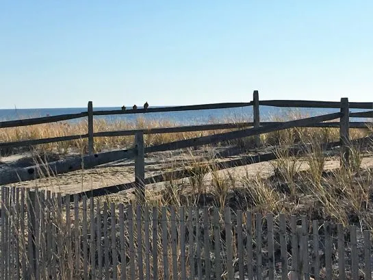 Entrance to beach at Plymouth Place