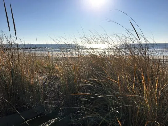 Beach at Plymouth Place