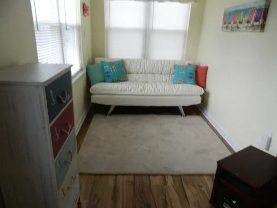 Sunroom with futon