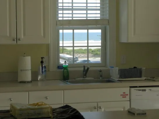 View From Kitchen