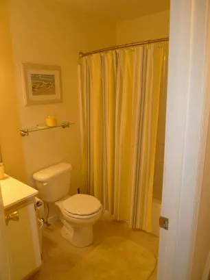 Hall bathroom with shower and detachable shower wand for kids