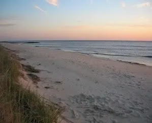 The beach!