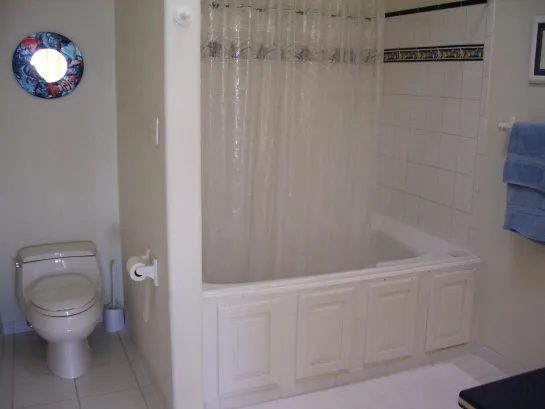 Master bathroom