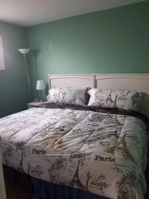 bedroom #1 -  king bed 