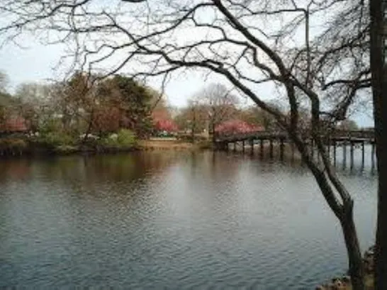 Spring Lake Lake