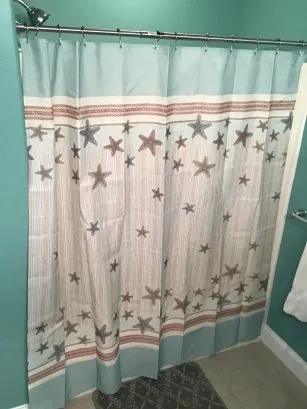 Hall bathroom shower