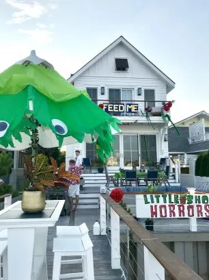 Getting ready for the 2019 Festival of Lights