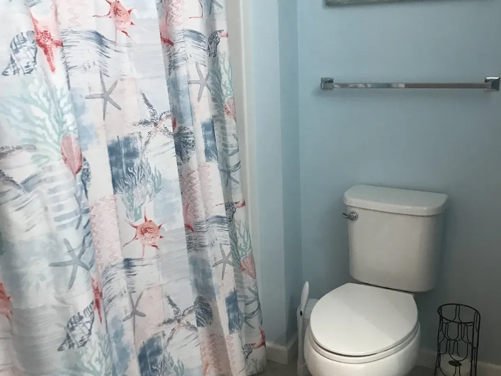 Main bath downstairs 