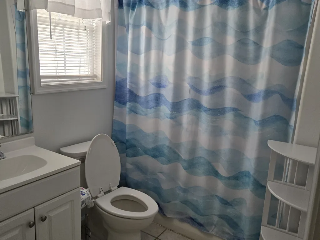 Hallway Bathroom