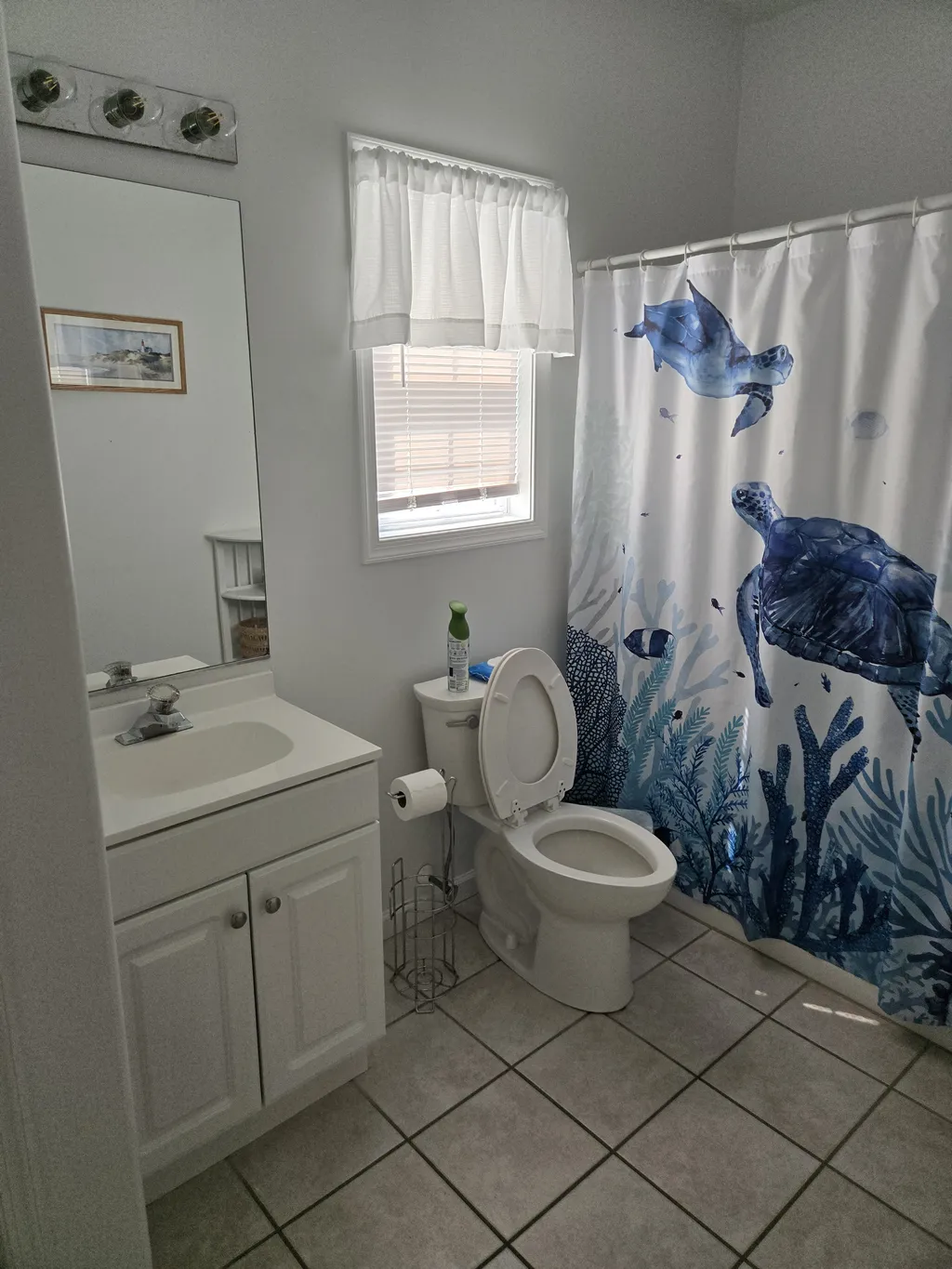 Hallway Bathroom