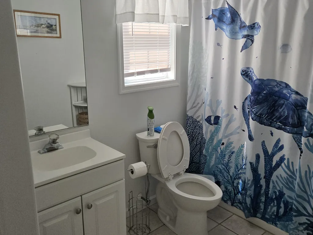 Hallway Bathroom