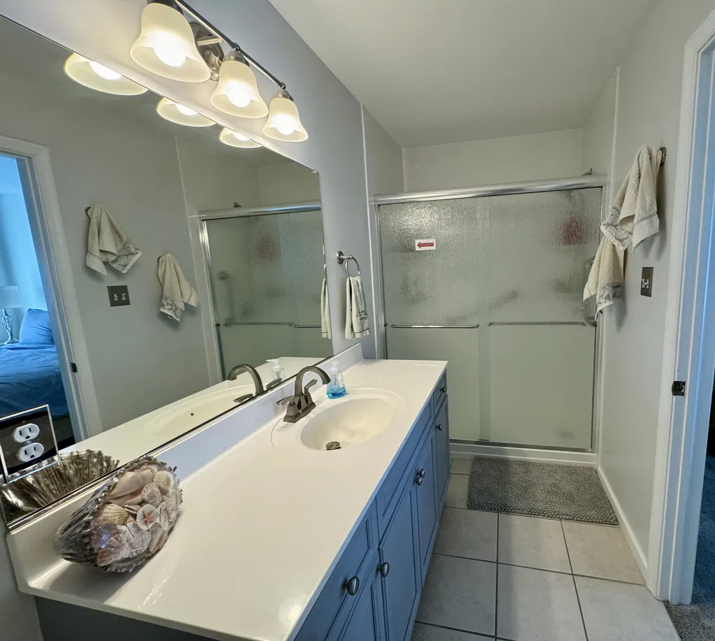 New Master Bathroom shower (2023) with security grab bars and magnetic hand-held shower head
