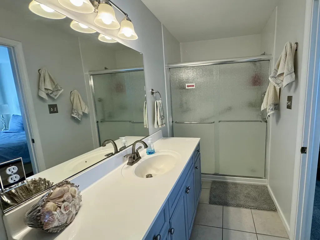 New Master Bathroom shower (2023) with security grab bars and magnetic hand-held shower head