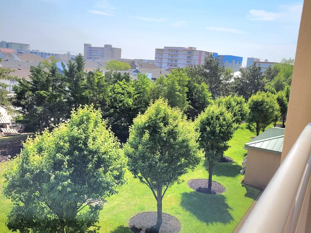 Outside Exterior Trees