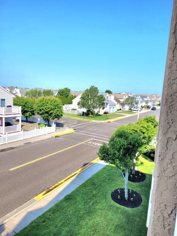 Street view from Patio