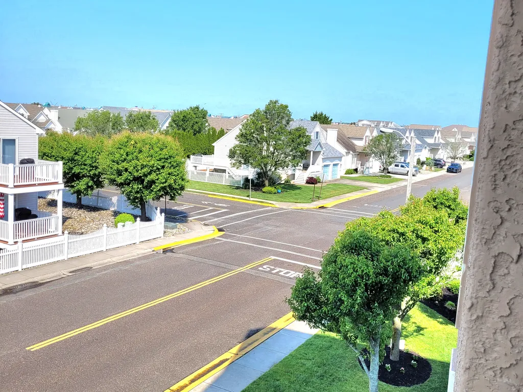 Street view from Patio