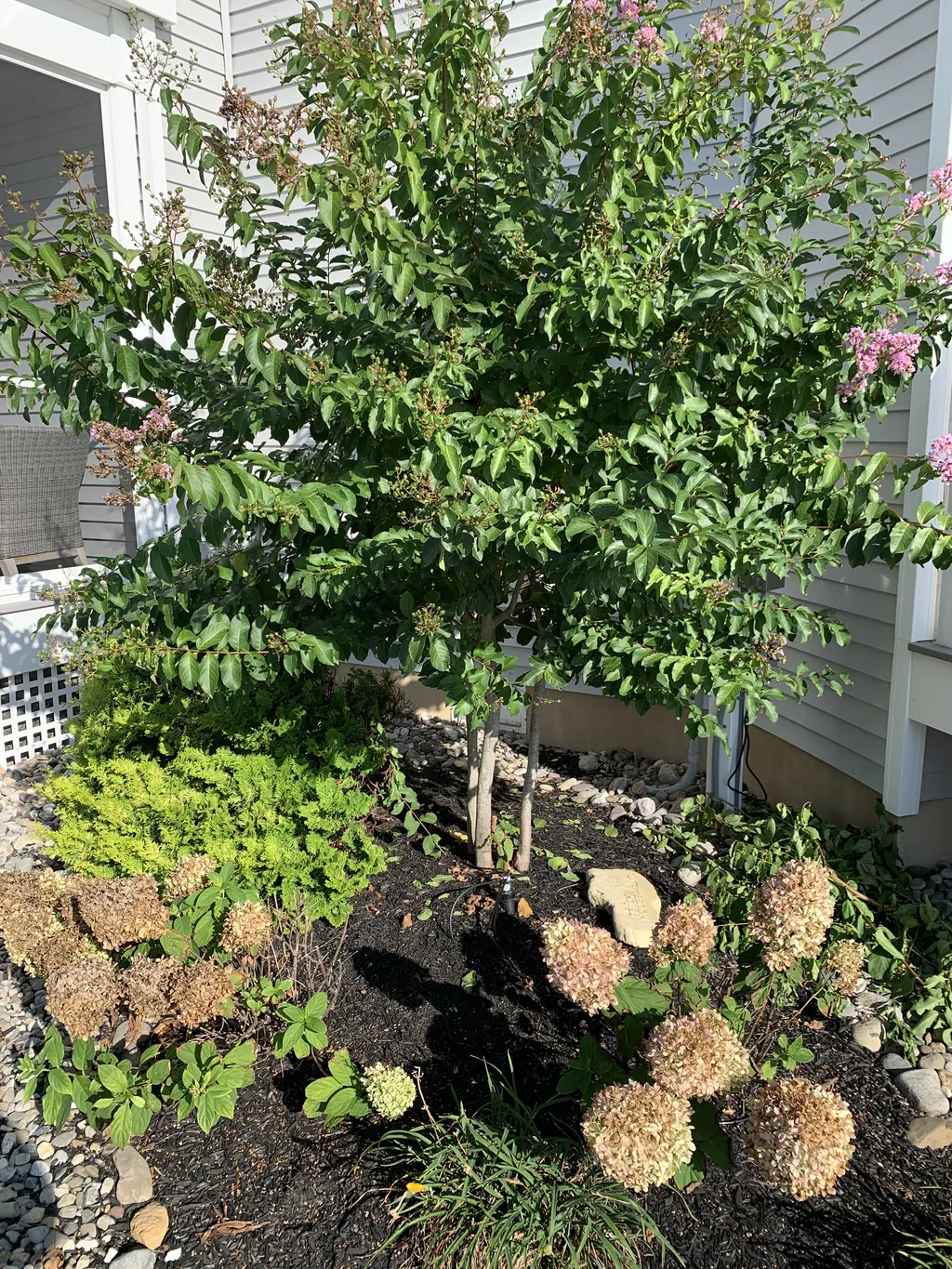 Porch Garden