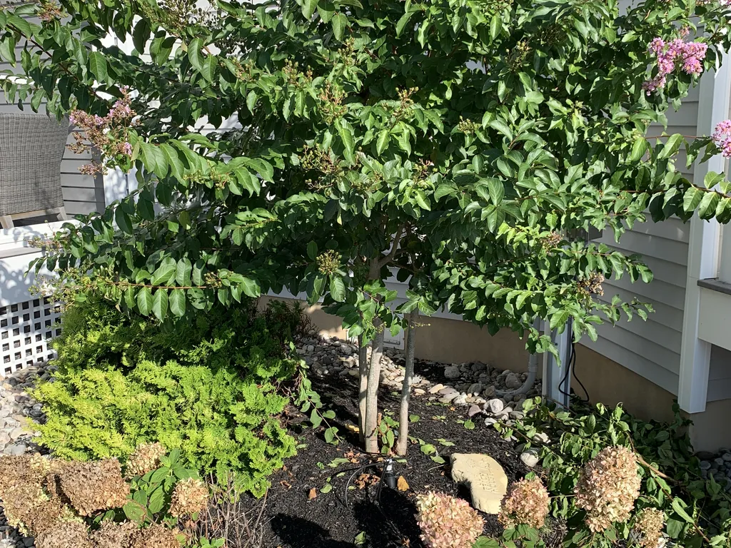 Porch Garden