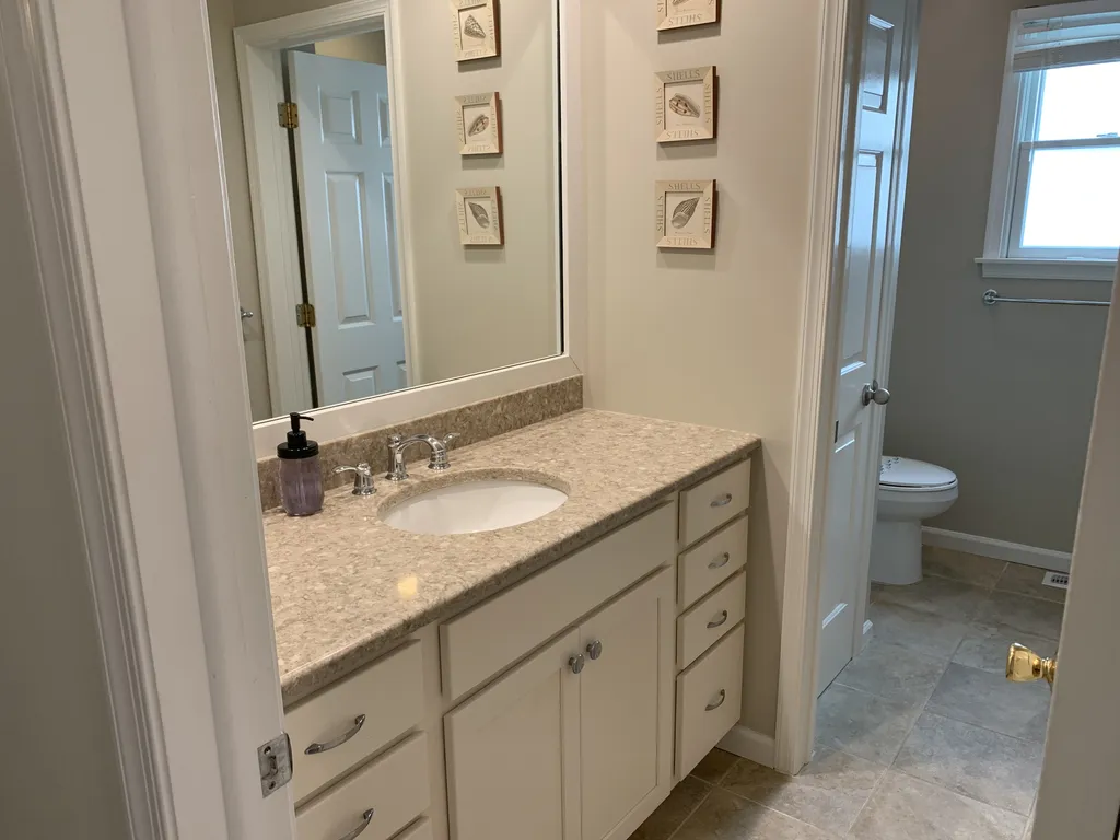 Hall bathroom with door separating shower/tub/toilet