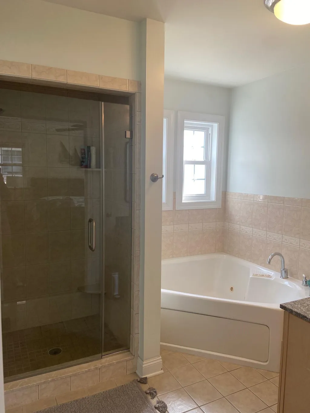 Main Floor Primary BR Bath