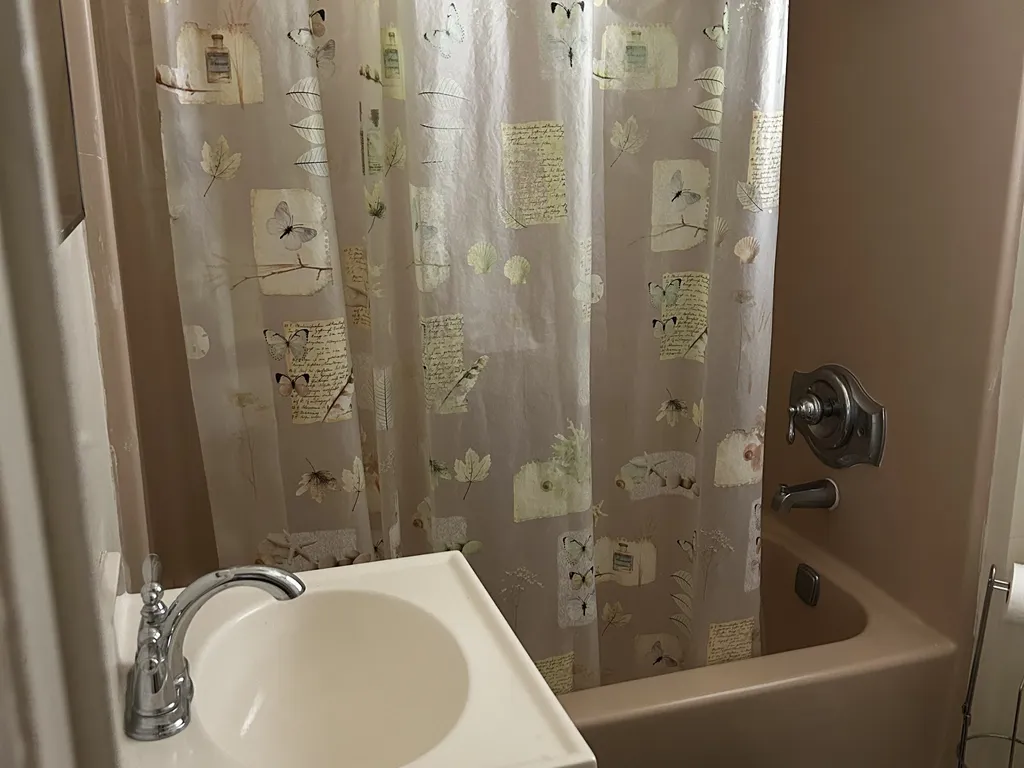 Downstairs Bathroom 