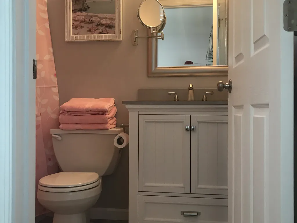 Master bathroom 