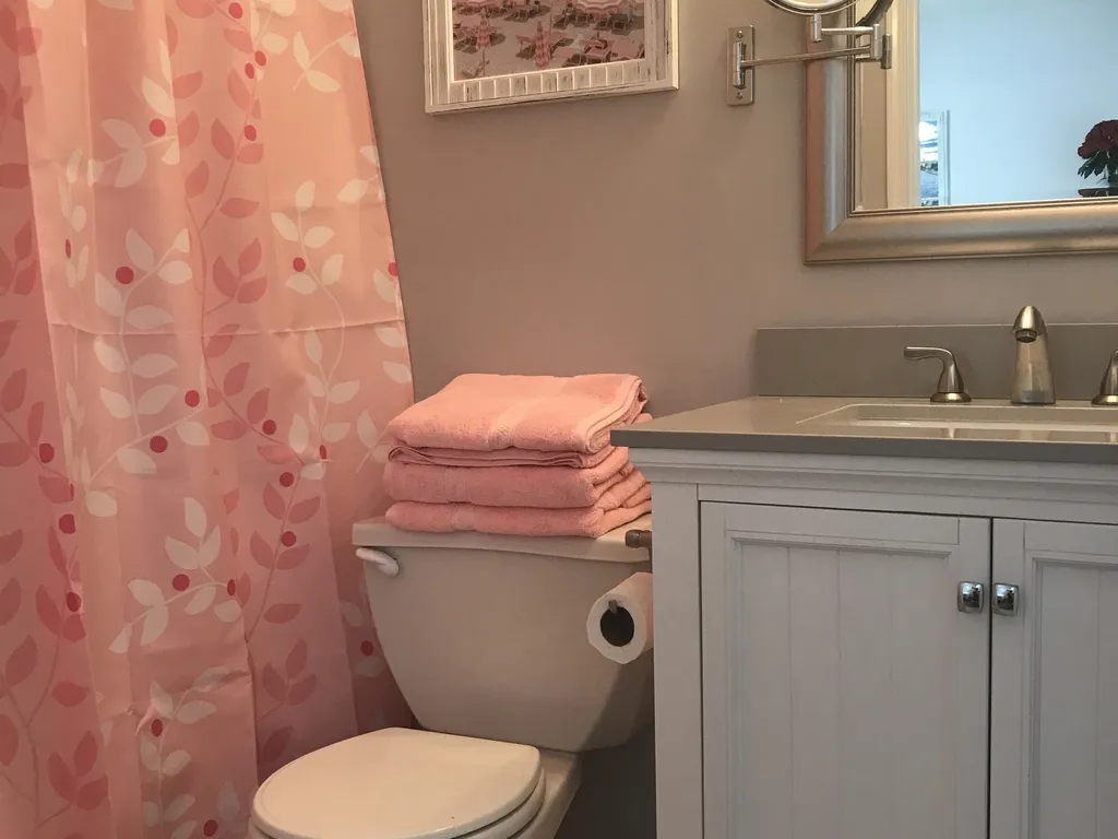 Master bathroom 