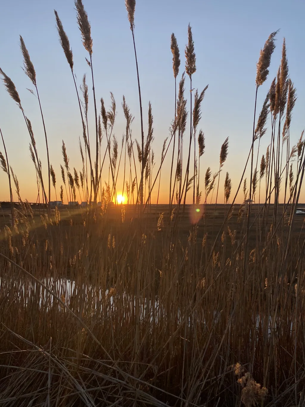 Enjoy a beautiful sunset right at the end of our street