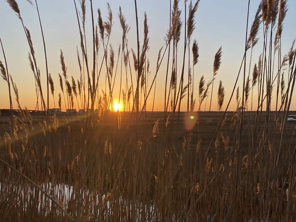 Enjoy a beautiful sunset right at the end of our street